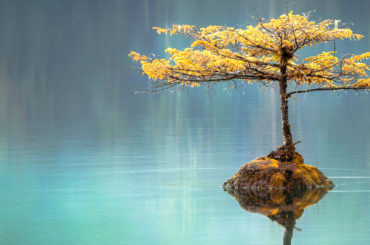 Stres Kontrolümde (1)