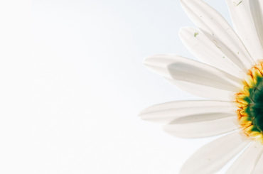 is-pozitif-psikoloji-1