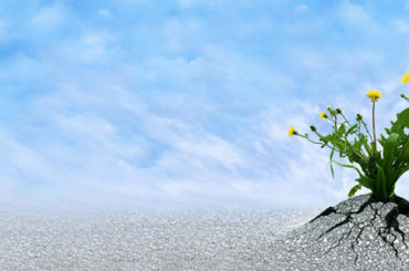 pozitif psikoloji dayanıklılık